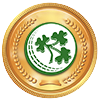 previous-mach-result.jpg